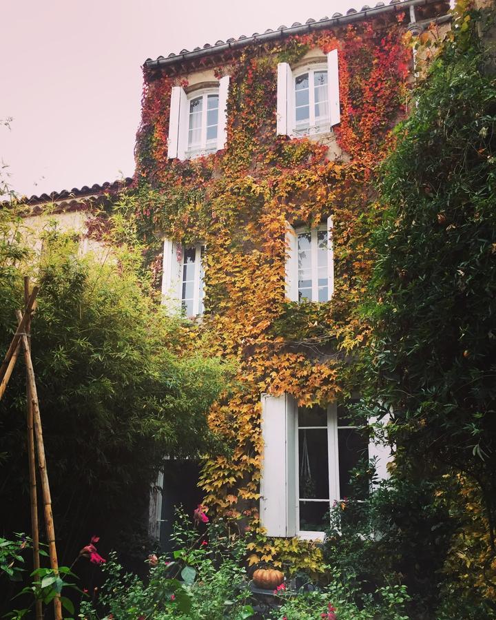Le Logis Blanc Bed&Breakfast Coursan Экстерьер фото