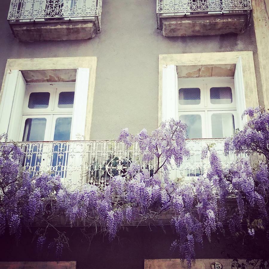 Le Logis Blanc Bed&Breakfast Coursan Экстерьер фото